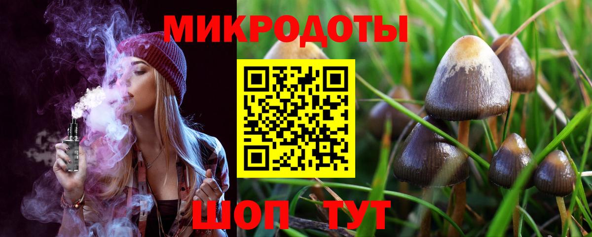 Владивосток  Псилоцибиновые грибы Cubensis  Галлюциногенные грибы прущие грибы  Вход с VPN 