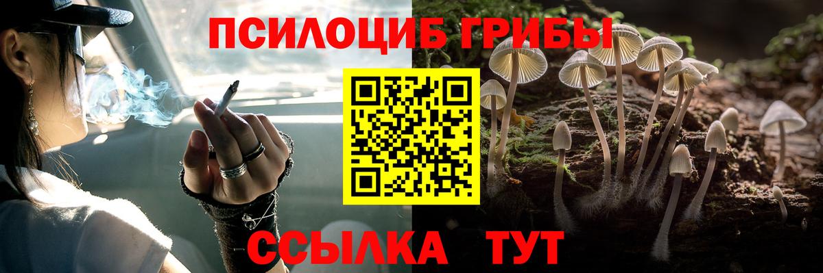 Псилоцибиновые грибы MAGIC MUSHROOMS Владивосток